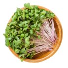 Retek pink mikrozöld és csíramag BIO