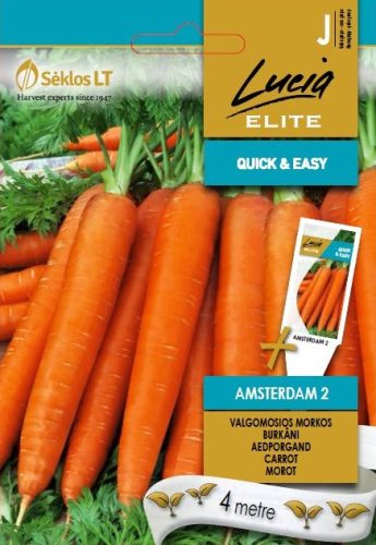 Répa AMSTERDAM 2 vetőmag