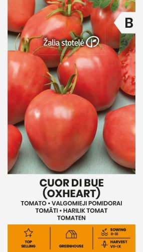 Paradicsom SZÍVALAKÚ (CUOR DI BUE) vetőmag