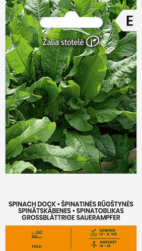 Paréjlórom (Rumex patientia) vetőmag