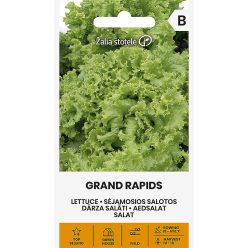 Saláta GRAND RAPIDS vetőmag
