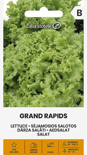 Saláta GRAND RAPIDS vetőmag