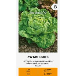 Saláta ZWART DUITS vetőmag