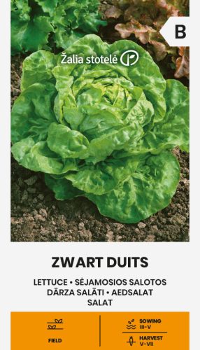 Saláta ZWART DUITS vetőmag