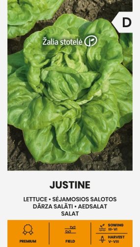 Saláta JUSTINE vetőmag