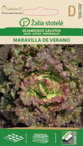 Saláta MARAVILLA DE VERANO vetőmag
