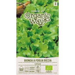 Saláta BIONDA A FOGLIA RICCIA vetőmag