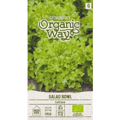 Saláta SALAD BOWL vetőmag