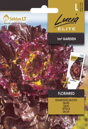 Saláta FLORINRED vetőmag