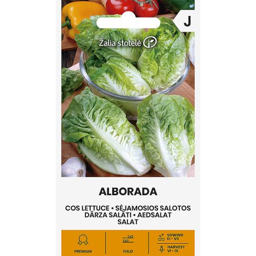 Római saláta Alborada vetőmag
