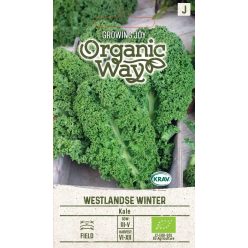 Fodros kel WESTLANDSE WINTER vetőmag