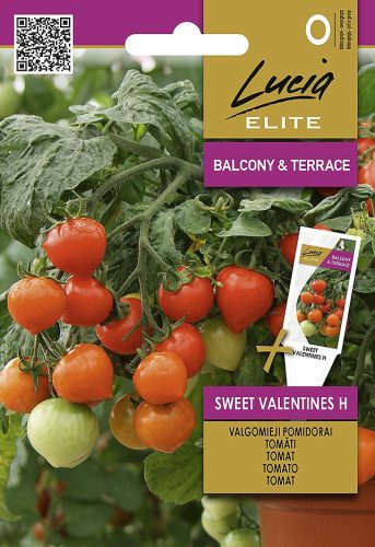 Paradicsom SWEET VALENTINES H vetőmag