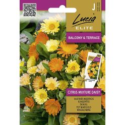 Körömvirág CITRUS MIX virágmag