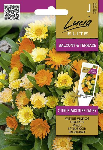 Körömvirág CITRUS MIX virágmag