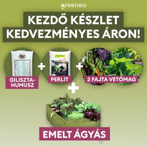 Salátakert kezdőcsomag összehajtható kerti ágyással