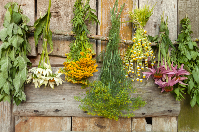 drying_herbs.jpg