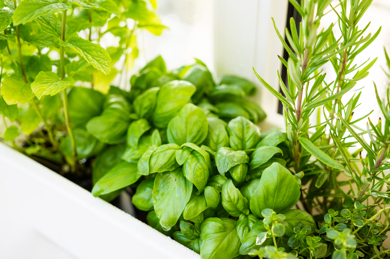 herb_garden.jpg